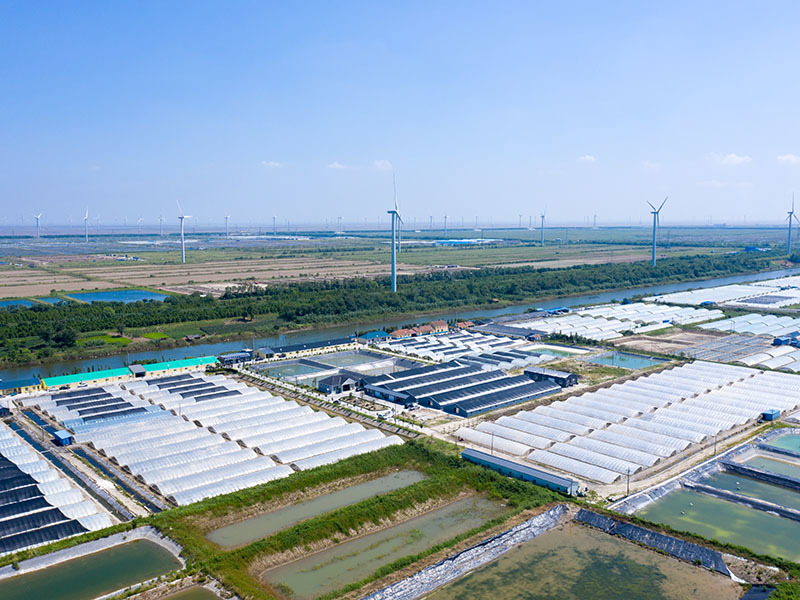 養殖基地
