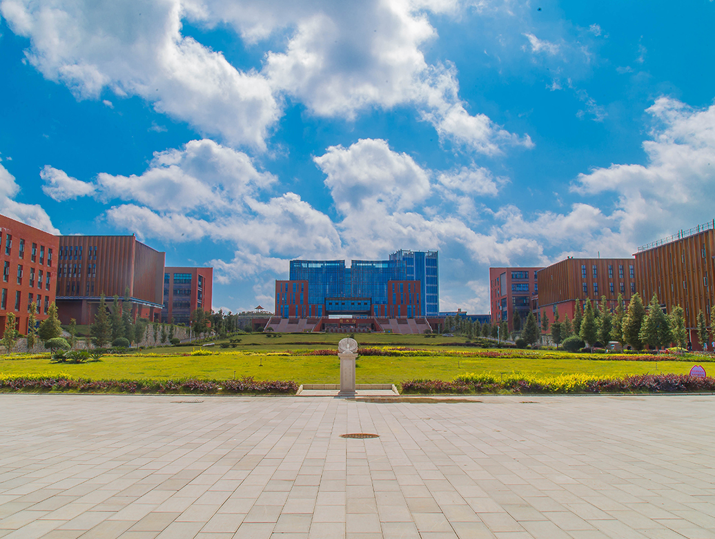 "Sound Listening" in its environment | Shijiazhuang Elite Middle School adopts Dekes pickups