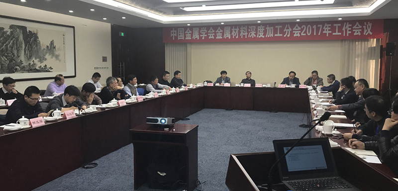 公司总经理出席第十一届中国钢铁年会