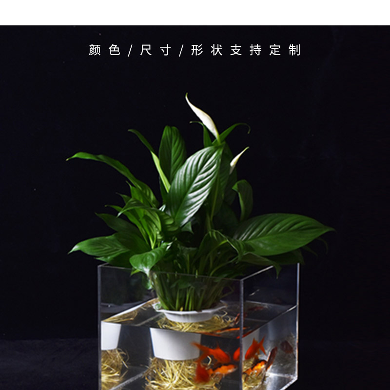 透明亚克力鱼缸