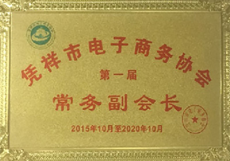 Executive Vice President of Pingxiang Electronic Commerce Association
