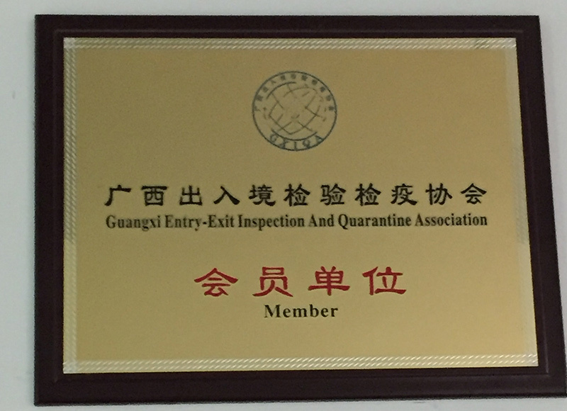 Guangxi New Silk Road Logistics Customs Declaration Group