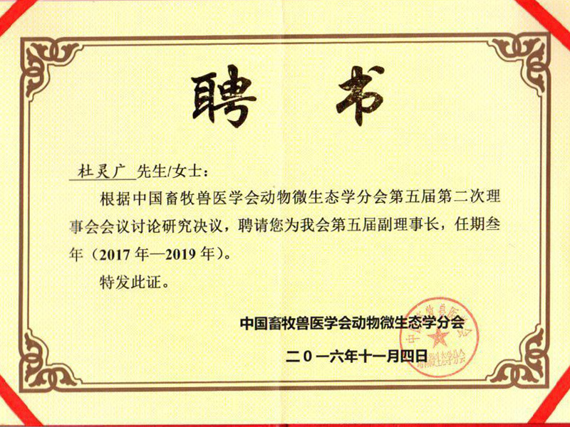 聘書(shū)