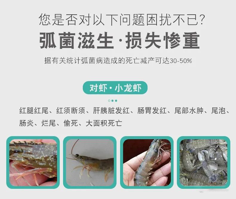 有了它從此不在怕弧菌了
