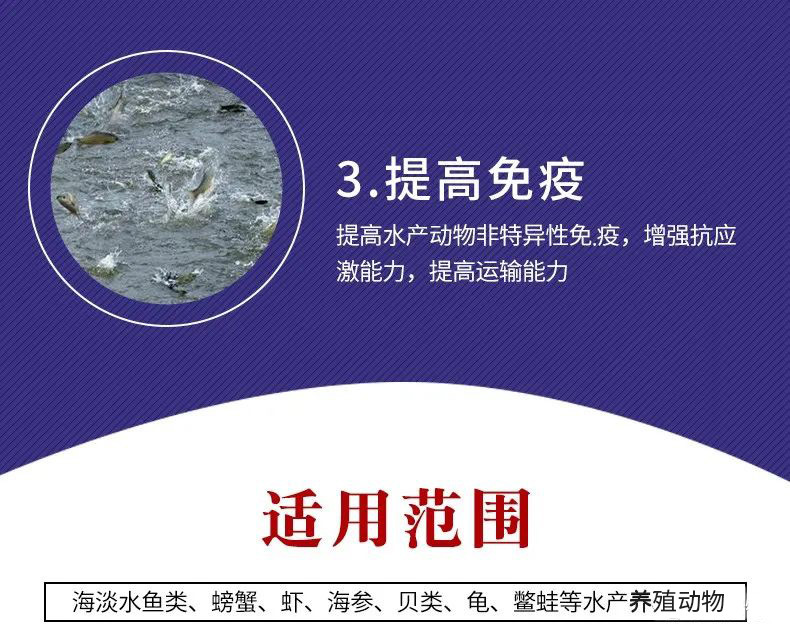 南美对虾养殖周期保肝护肝真的不太重要了