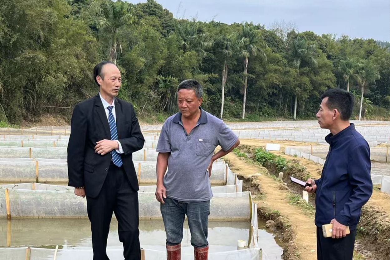 养殖牛蛙紧急求助，处理结果如何？