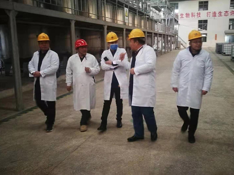 工廠實景