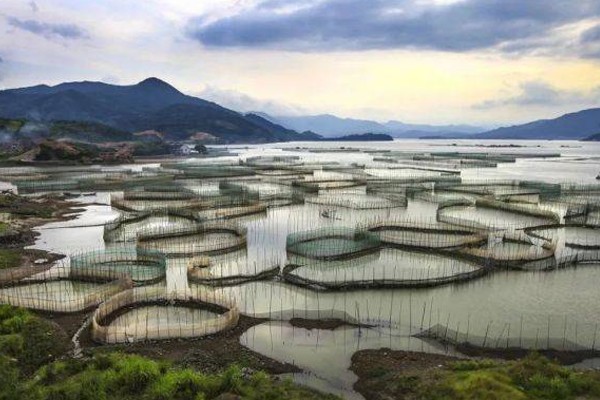 鳗鱼应该怎么样？这5个鳗鱼工厂化养殖的管理要点你一定要记住！