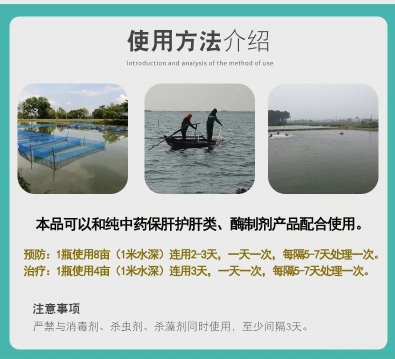 有了它從此不在怕弧菌了