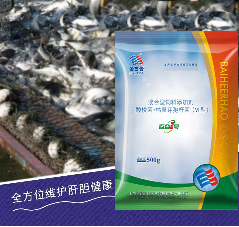 南美对虾养殖周期保肝护肝真的不太重要了