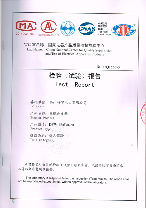 產(chǎn)品檢測報(bào)告