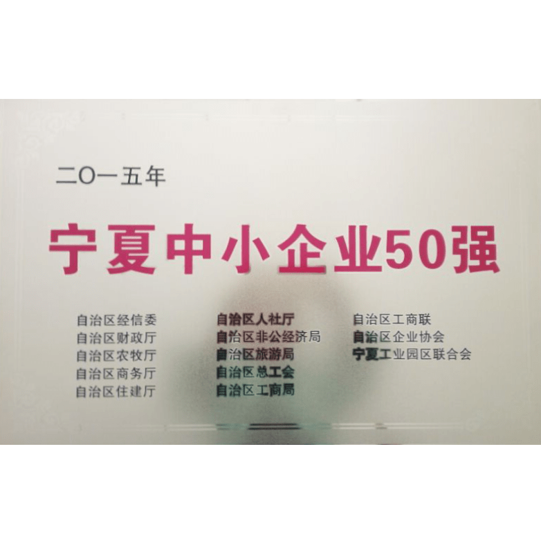 宁夏中小企业50强
