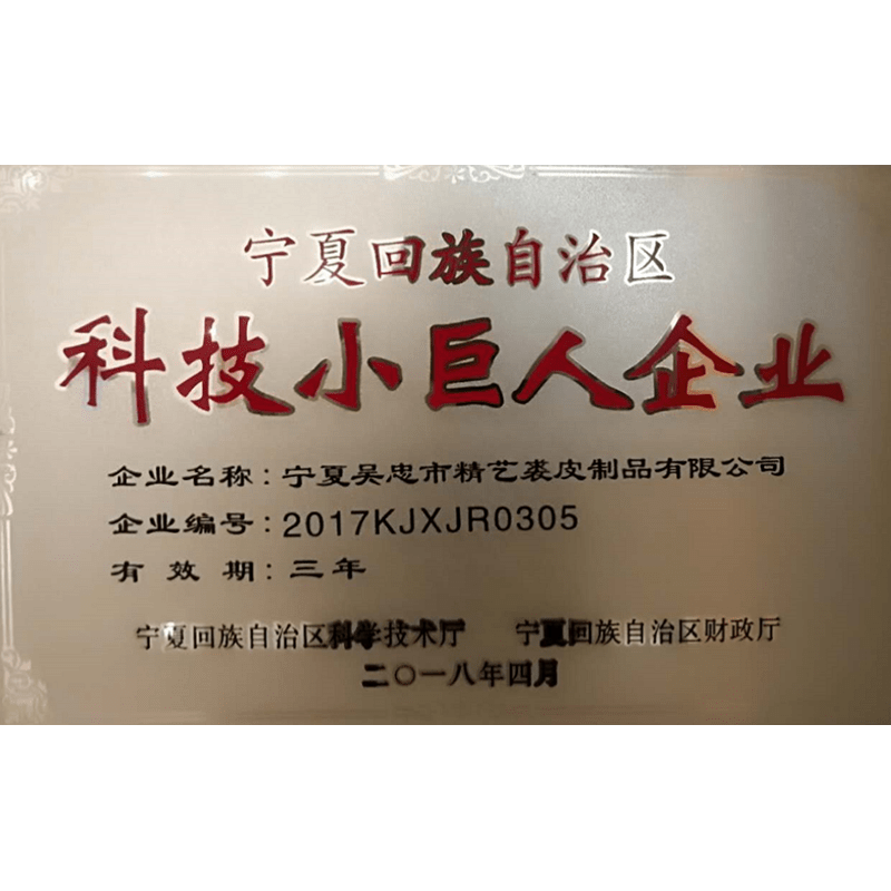 科技小巨人企業(yè)