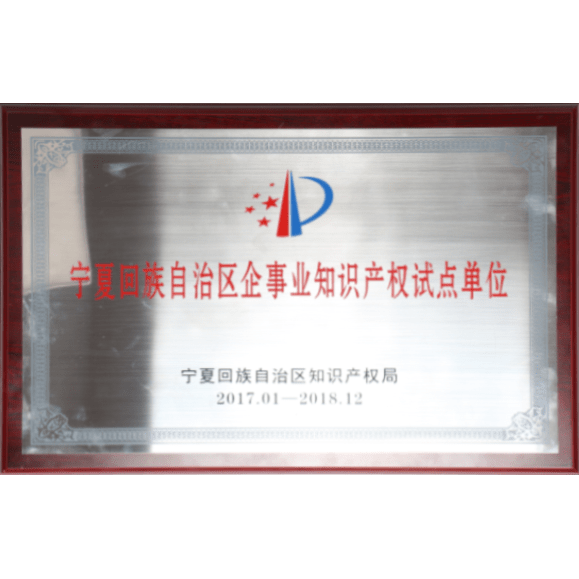 寧夏回族自治區(qū)企事業(yè)單位知識產權試點單位