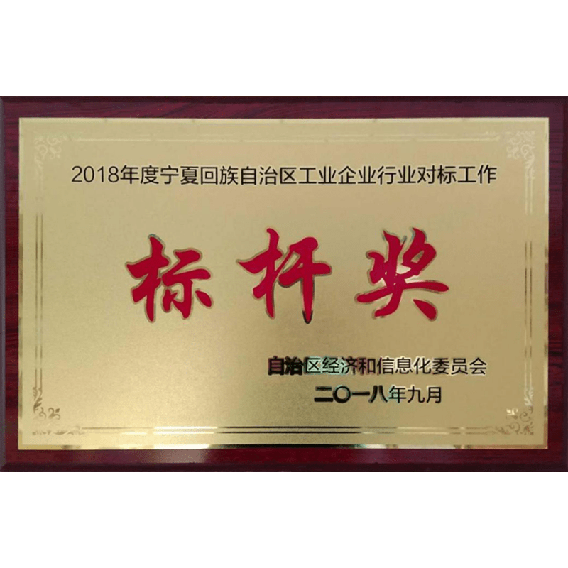 宁夏回族自治区工业企业行业对标工作标杆奖