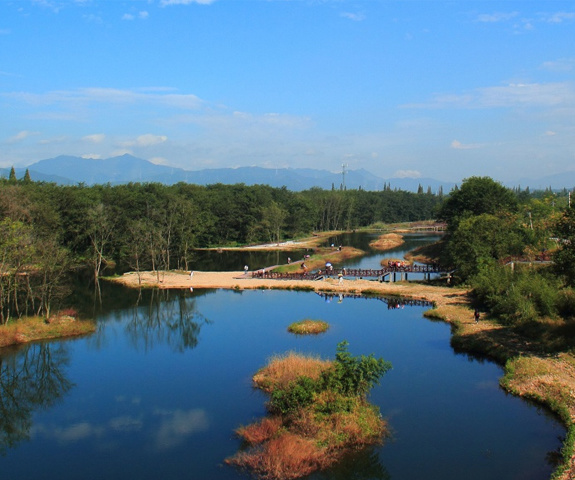 2018丽水九龙国家湿地一期保护工程