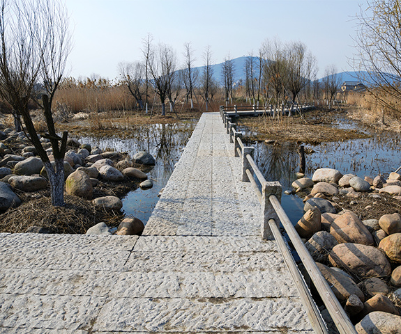 2013无锡长广溪湿地生态修复工程