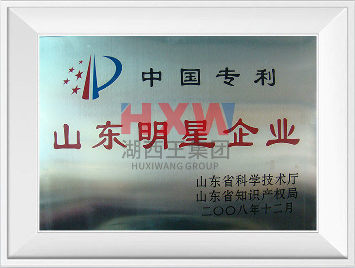 China Patent - Star Enterprise in Shandong