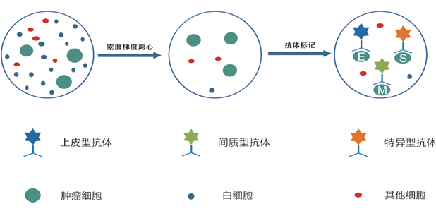 海吉力ACTC将肿瘤病人创伤降到最低