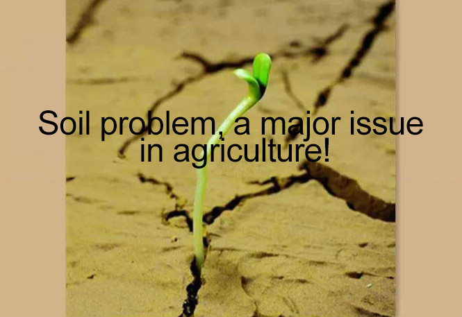 Soil problem, a major subject of modern agriculture!