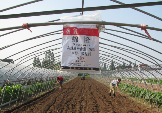 Six key points of soil fumigation in greenhouse