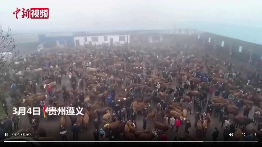 視頻標題 視頻標題