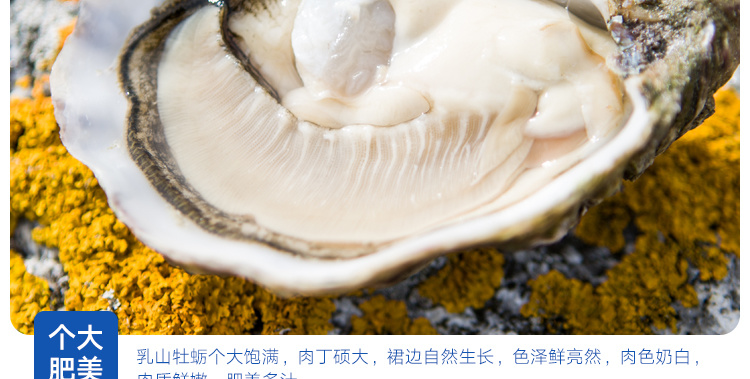 吉祥水产