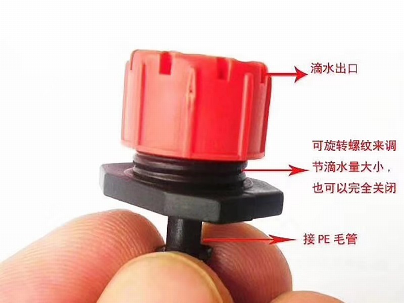 圖片名稱