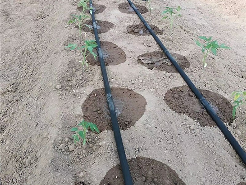 圖片名稱