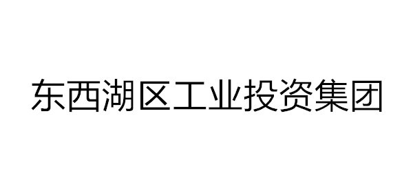 東西湖區(qū)工業(yè)投資集團(tuán)