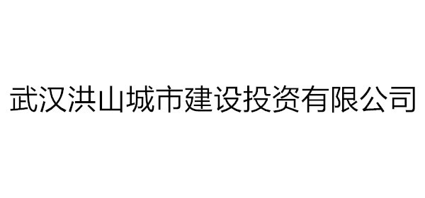 武漢洪山城市建設(shè)投資有限公司