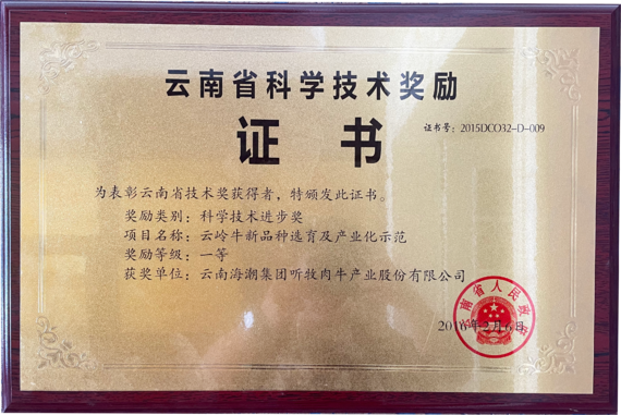 云南省科學技術進步獎
