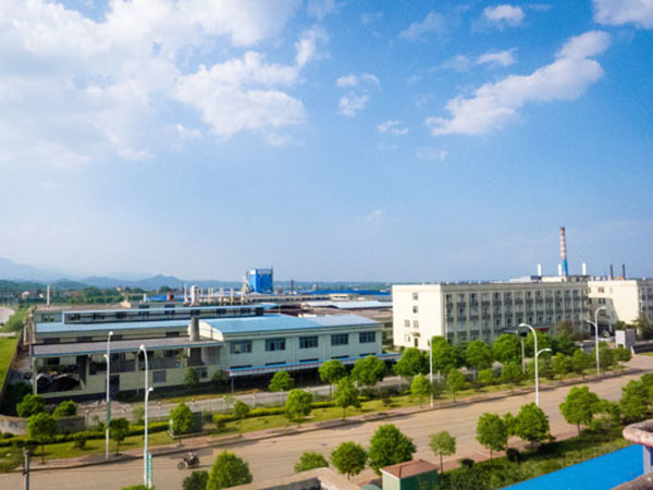 公司远景
