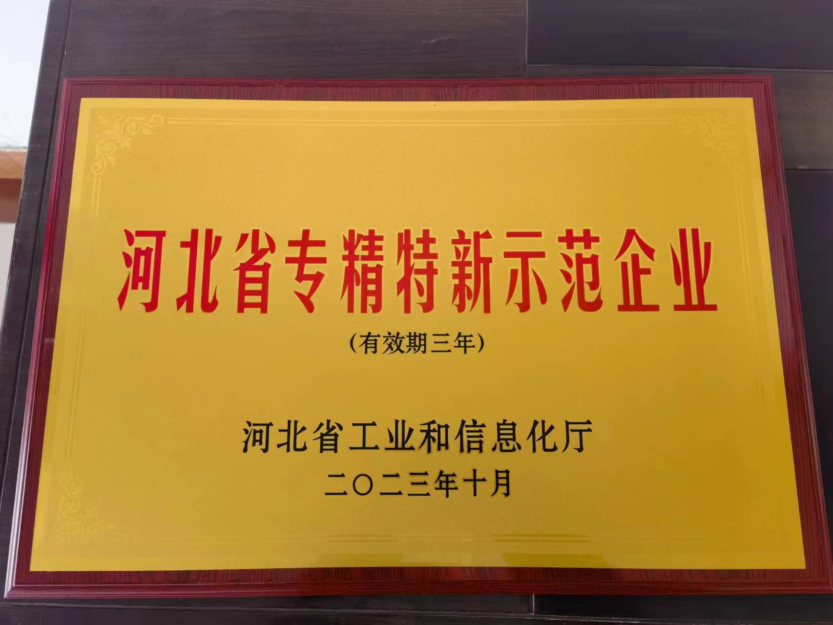 Celebrate Gaoyi County Yongchang Zinc Industry Corp., Ltd. win the title 