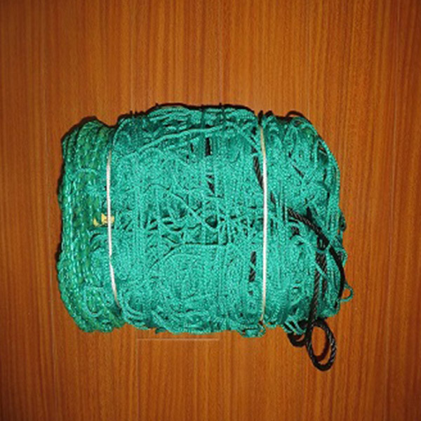 PP-soccer-net
