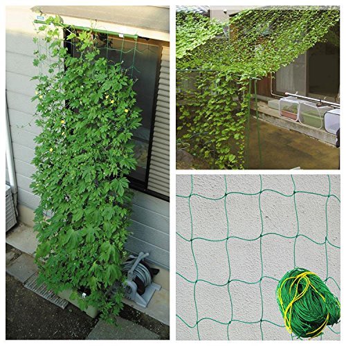 Plant climbing net