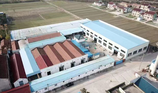 Aoli Aoli