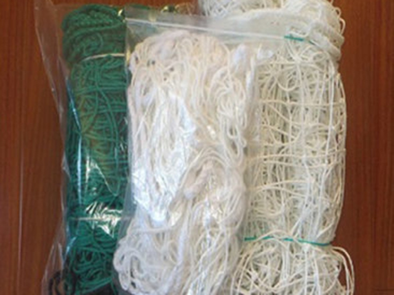 Requirements for use of safety net