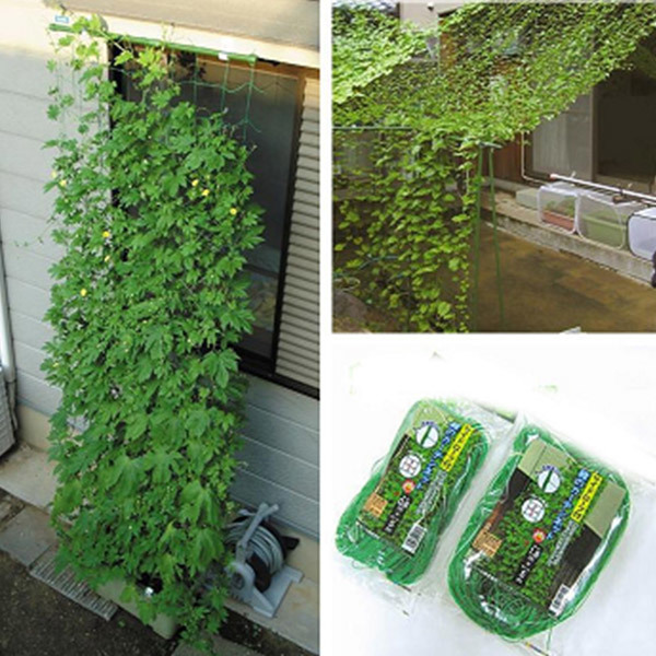 Plant-climbing-net