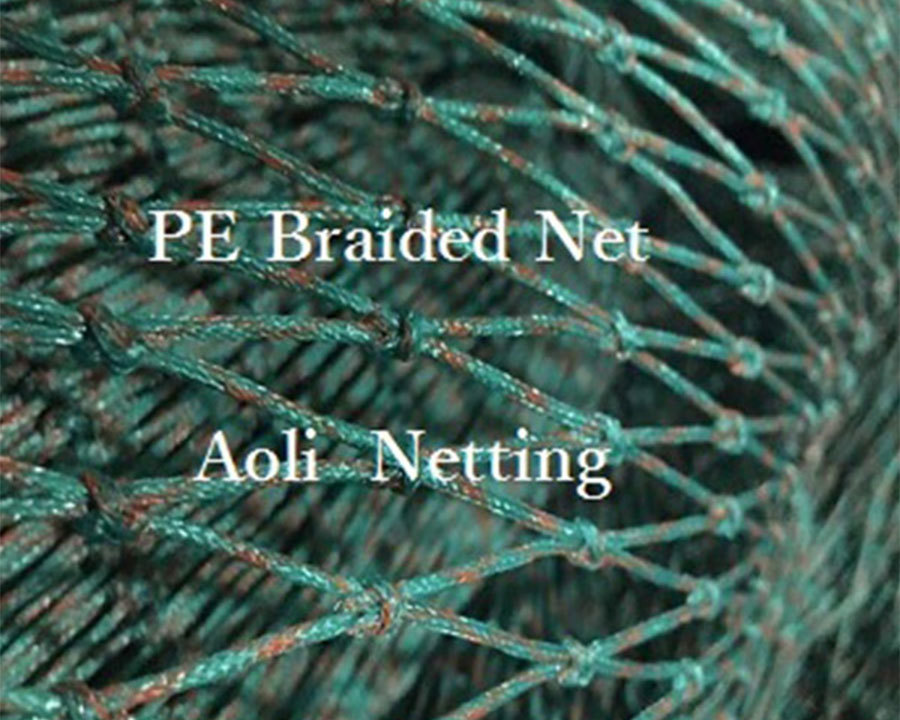 Safety net