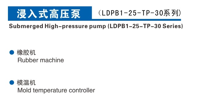 浸入式高压泵1-25-30
