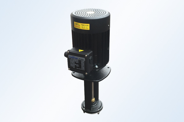 Immersion high-pressure pump 1-20-TP-40 series