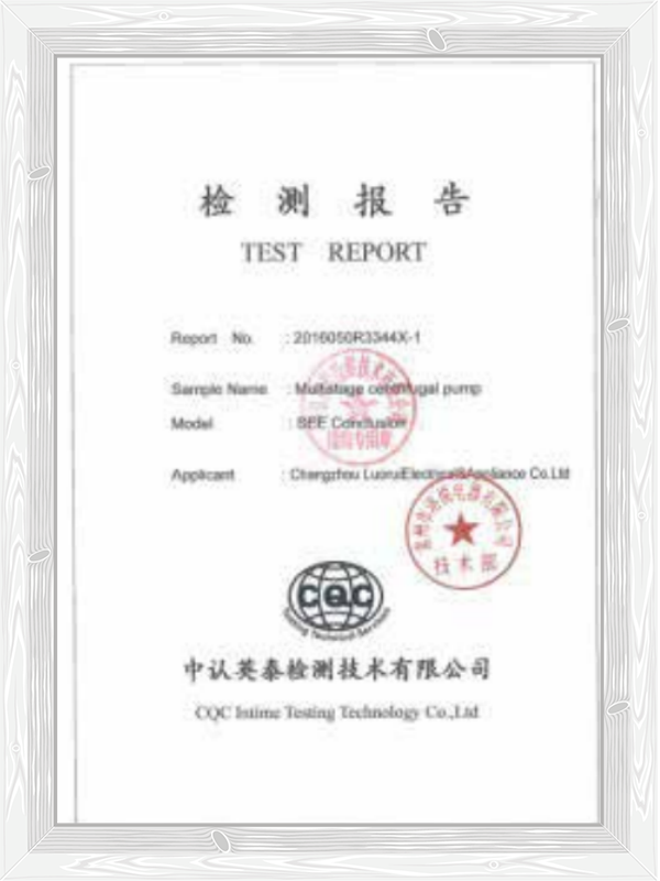 REACH Test Report REACH Test Report