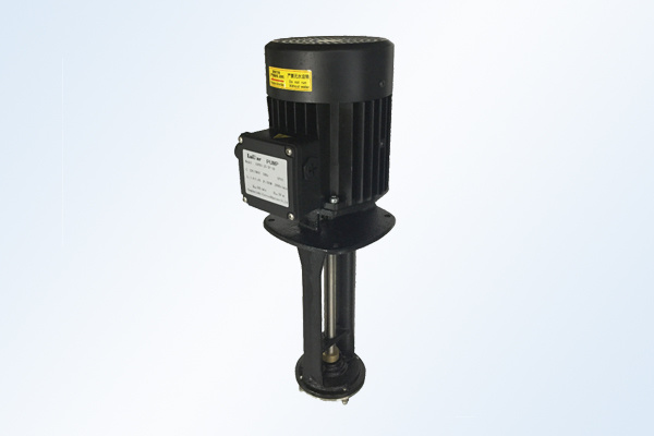 Immersion high-pressure pump 1-25-30