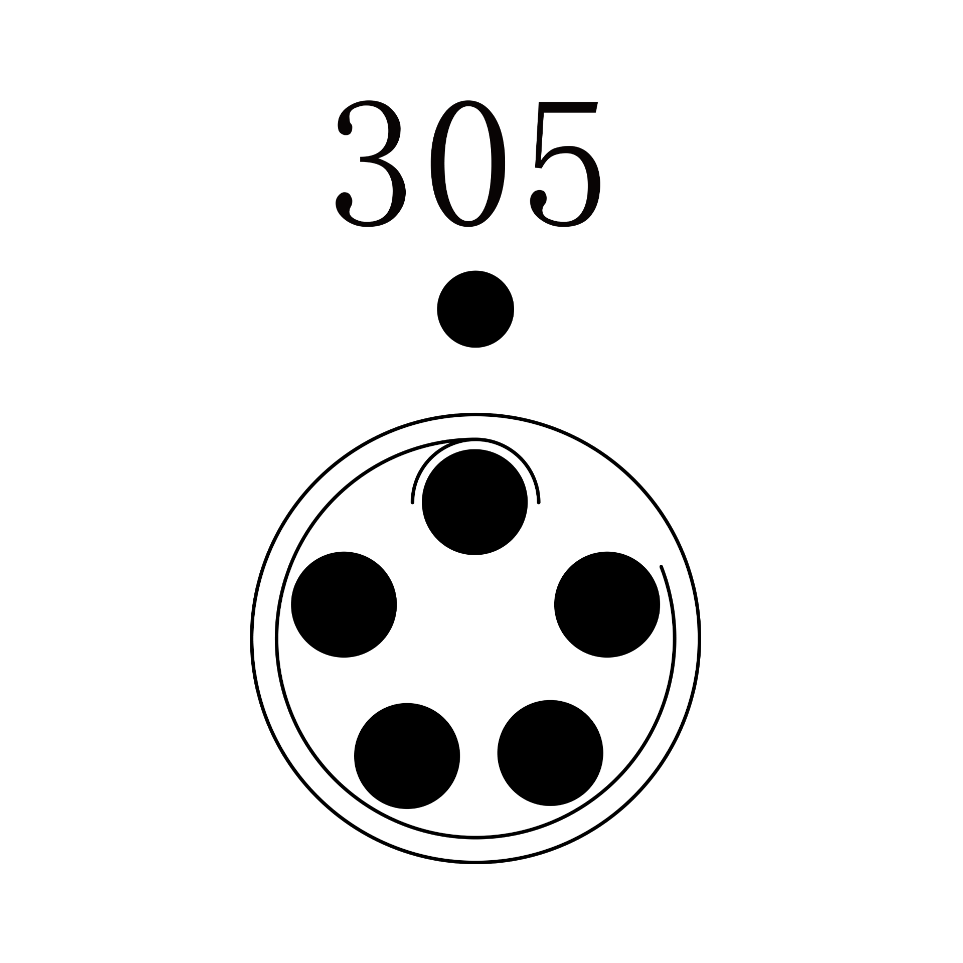 PGG.1P.305.SKAC39G PGG.1P.305.SKAC39G