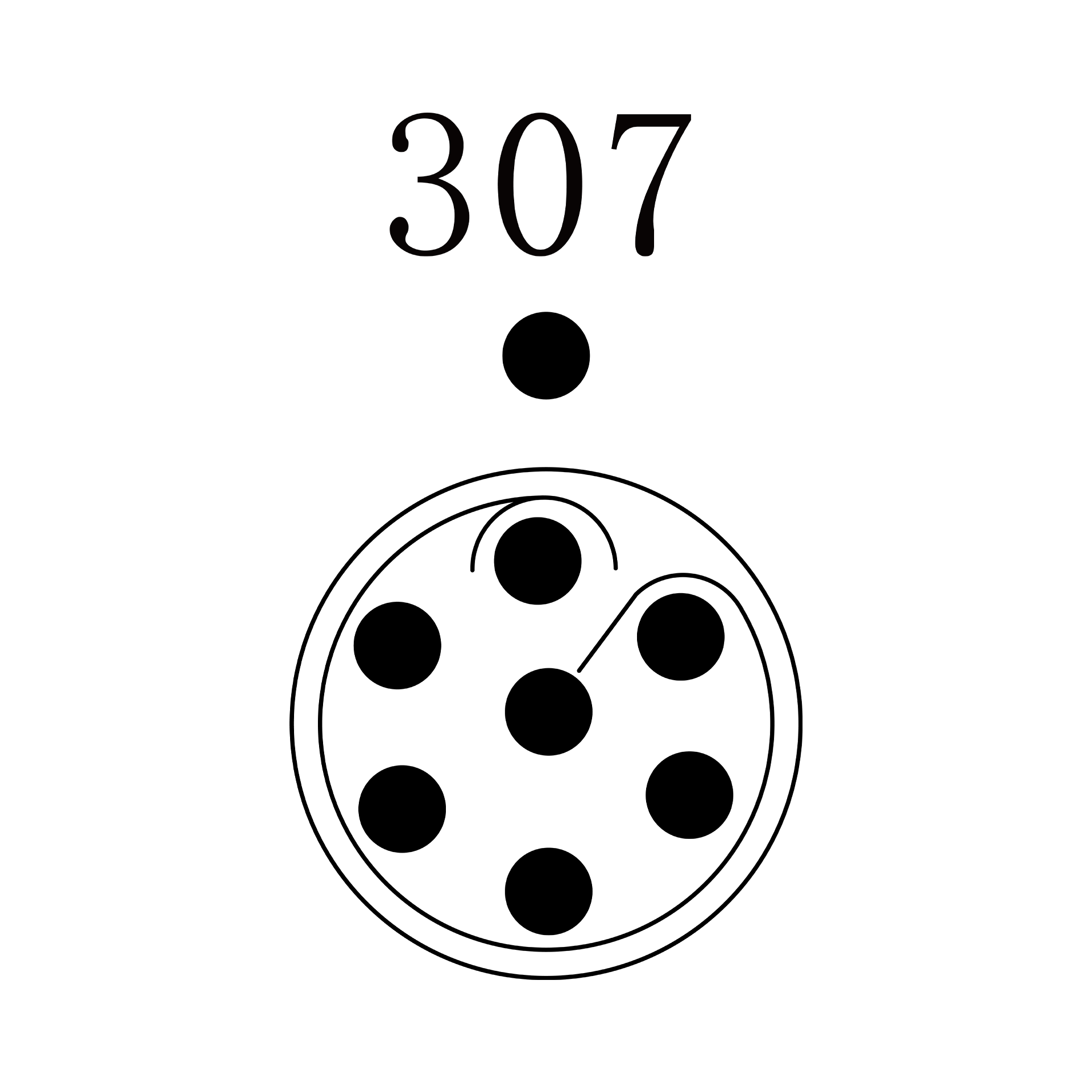 SGG.1P.307.SKLG
