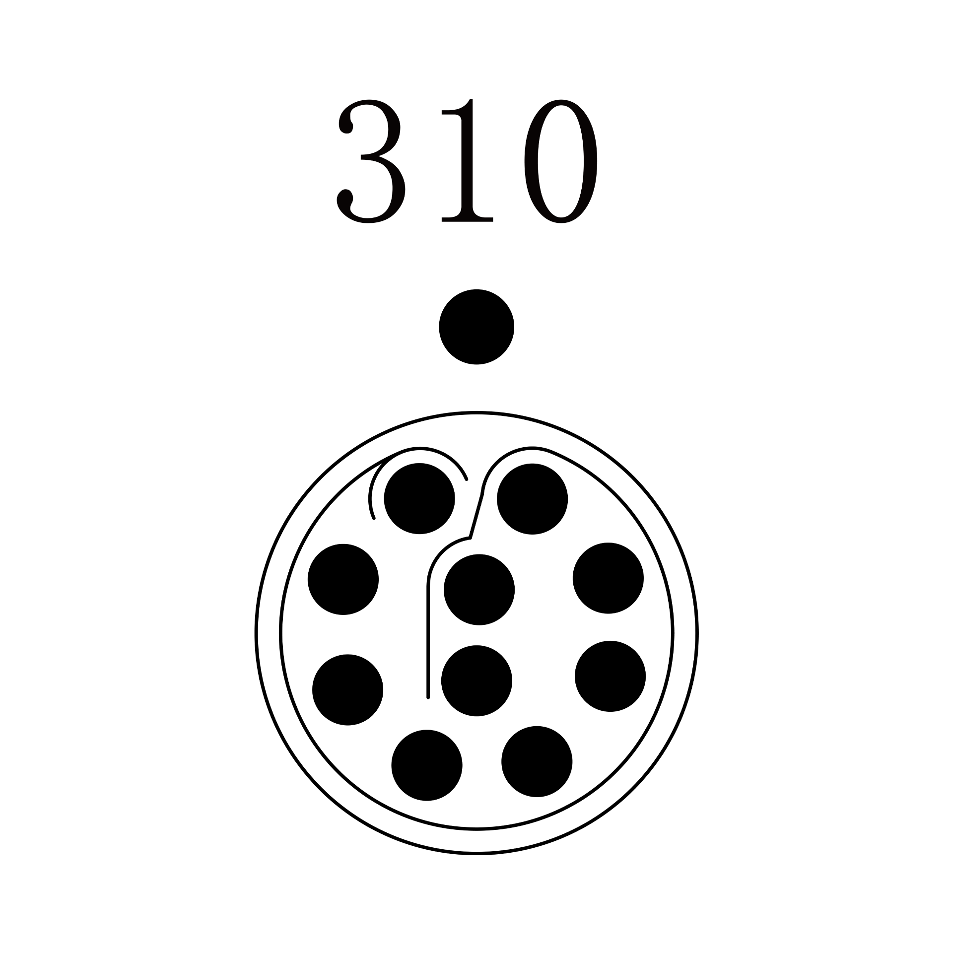 PGG.1P.310.SKAC65G PGG.1P.310.SKAC65G