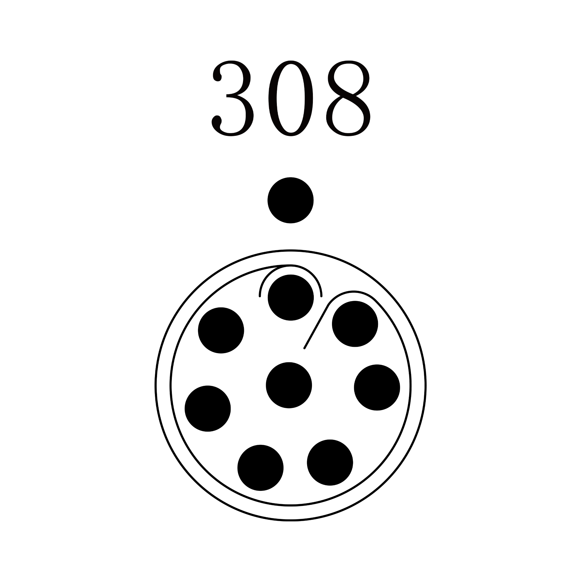 PGG.1P.308.SKAC52G PGG.1P.308.SKAC52G