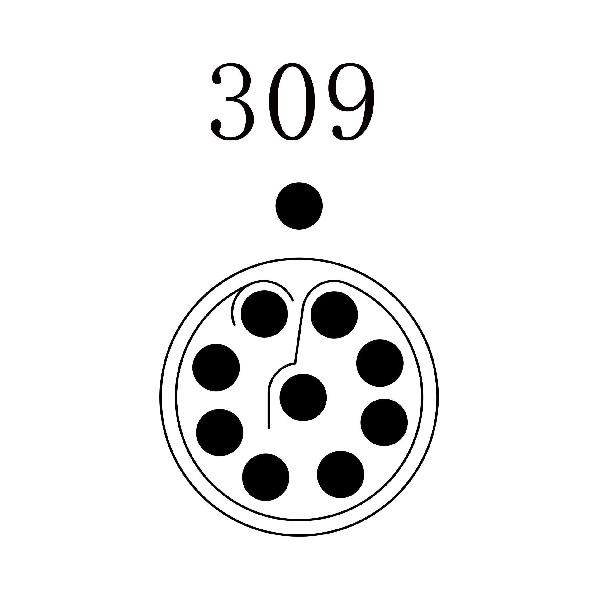 PGG.1P.309.SKAC52GZ PGG.1P.309.SKAC52GZ
