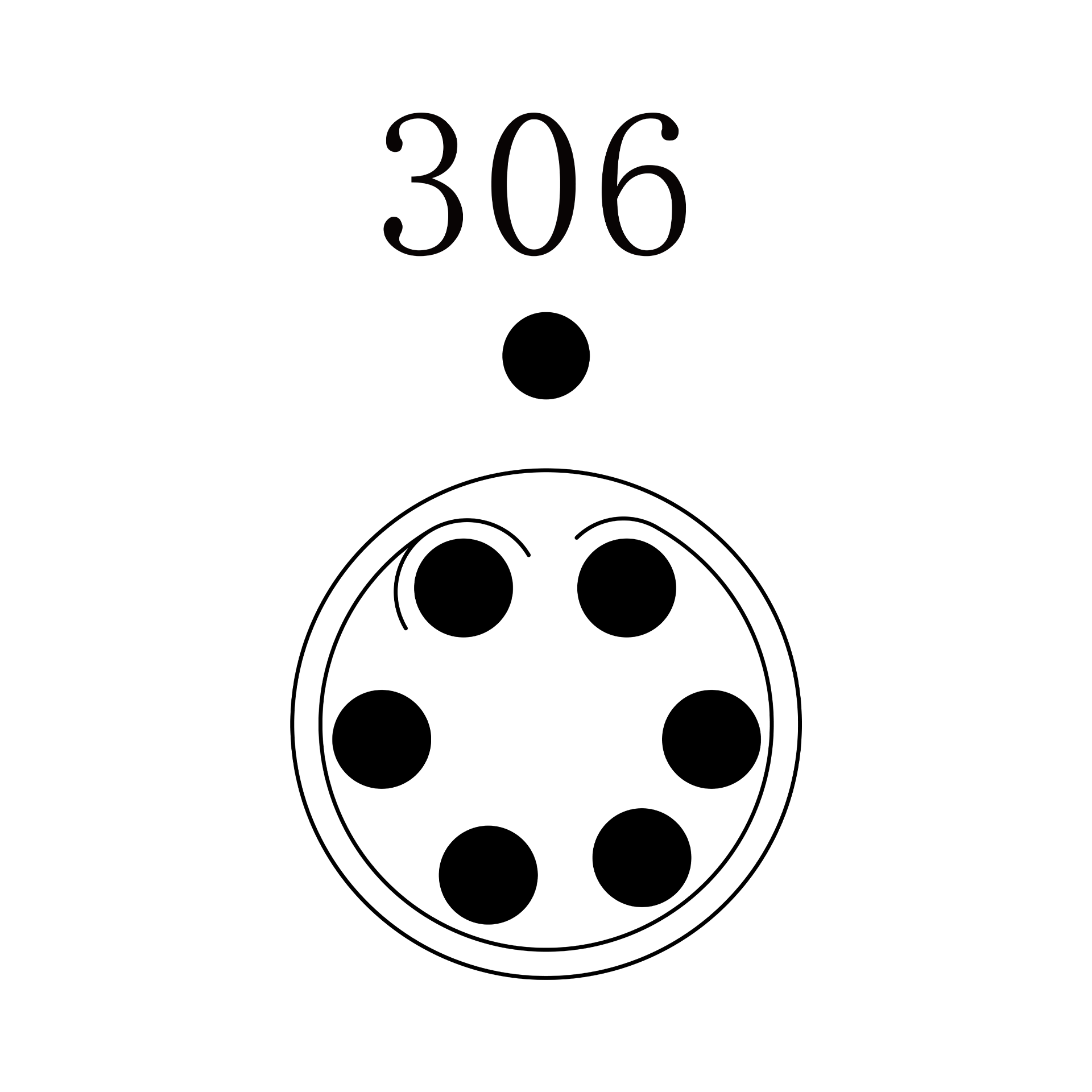 SGG.1P.306.SKLG SGG.1P.306.SKLG